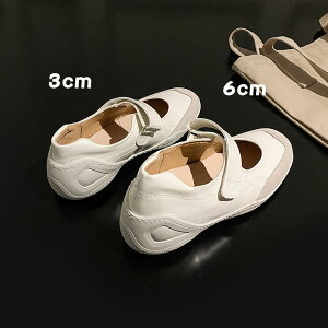 oGV[Y fB[X  [WF[V[Y U[ Xj[J[ [t@[ tbgV[Y ؂񂱌C Cq[ ɂ ₷ EhgD JWA Vo