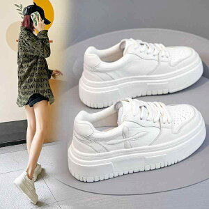 Xj[J[ fB[X  v U[Xj[J[ [Jbg Xj[J[  ʋC NbV wlC JWA 킢 t