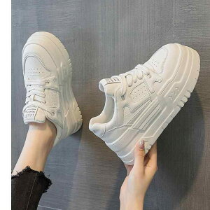 Xj[J[ fB[X  Xj[J[ JWA V[Y EhgD U[ ؂ւ 6cm 8cm q[ Abv Cq[ ʋC Ĕ