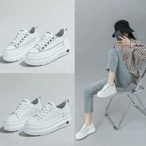 Xj[J[ fB[X Xj[J[ v Cq[ RC [Jbg tbg\[ wlC p EhgD JWA   t H ʋC ϖՐ