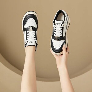 Xj[J[ fB[X  Cq[ 8cm U[ [Jbg R ^C   JWA ʋC ϖՐ y tďH~