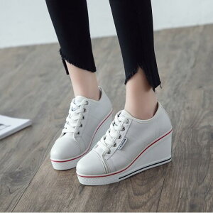 Xj[J[ fB[X  LoX V[Y [Jbg Rt 8cmq[ wȂ     sN n EFbW\[ JWA t H~