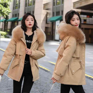 R[g fB[X _E  WPbg ؍  傫TCY t[ht O\ At@[ |GXe ubN ItzCg O[ Cgu[ uE J