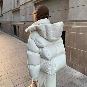 R[g fB[X _E  V[g t[ht |GXe  ubN zCg uE  ʋ H~