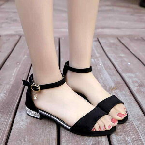 T_ fB[X [q[ XG[h ANXgbv ̌ I[vgD ɂ ₷ ؍ ꂢ 킢  ubN O[ 35 36 37 38 39 40