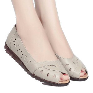 T_ fB[X  ^ ؒ tbg [q[ _炩 ₷ ~ wlC ؂ ɂ ₷ RtH[gV[Y JWA ig s t