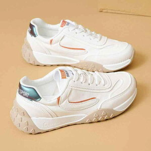 Xj[J[ fB[X  JWA ؍  ^C jOV[Y ig ʊw 4E L b Ռz ~ IW ubN t