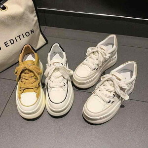 C fB[X V[Y  Xj[J[ T_ {A y JWAV[Y wlC F   t H~