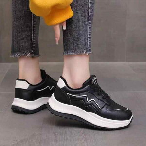 Xj[J[ fB[X  U[ JWA V[Y   X|[eB ig jO ^C EH[LO tH~