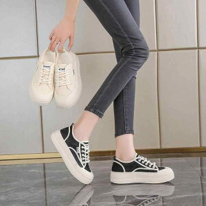 Xj[J[ fB[X  bV ʋC  킢 [Jbg tbg\[ JWA ig x[W ubN