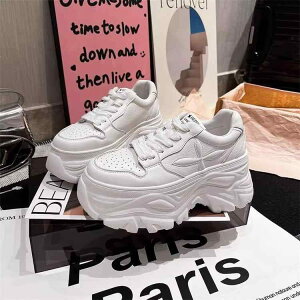 Xj[J[ fB[X  Cq[ ^C JWAV[Y  [Jbg S ig jO X|[c tďH~