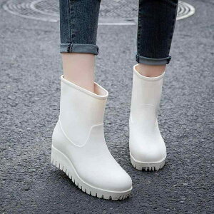 Cu[c fB[X  ~ [Nu[c C wlC h ~h 킢 JWA   sNn