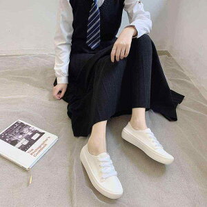 CV[Y fB[X w h ~ V[g JWA Xb| H~   x[W