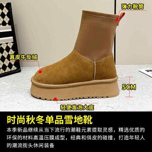 u[c fB[X  nC Xm[u[c v  h  V[gu[c tbg [q[ ₷ ɂ JWA  ubN uE L H~