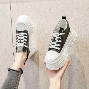 Xj[J[ fB[X  Cq[ ^C p t ʋC EhgD zF 6cmq[ [Jbg   y ig wlC(x2)