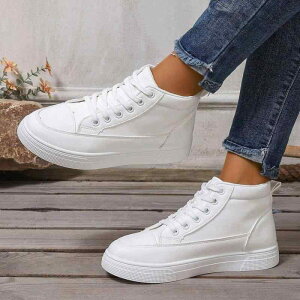 Xj[J[ fB[X Xj[J[ [Jbg tbg R ^Cv [XAbv y ^C ʊw ig 