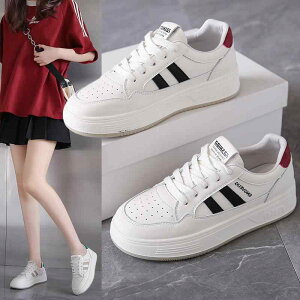 Xj[J[ fB[X ʊwC ؍ ^C [Jbg RC zF  킢 ₷ ₷ JWA ig  