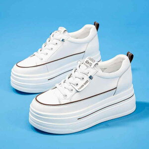 Xj[J[ fB[X v  8cm [Jbg JWA V[Y  O[ t H