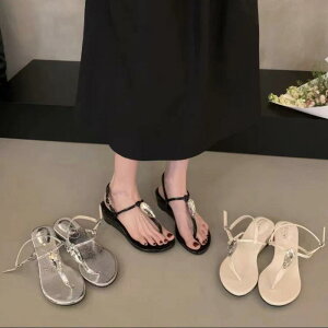 T_ fB[X  LL  rW[  EFbW\[ gO T_ 킢  XNGAgD tF~j JWA   Vo[