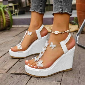 T_ fB[X  EFbW\[  r[`T_   oh O ɂ   wlC 225cm`265cm