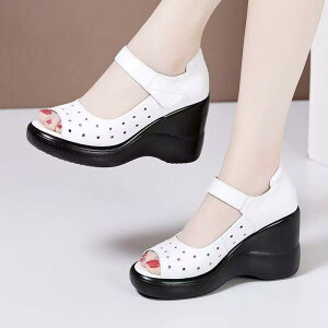 T_ fB[X  EFbW\[ 10cmq[  tBbV}EX Xj[J[ wlC   PUU[ JWA ؍ t