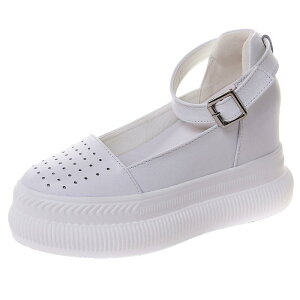 T_ fB[X  Cq[ Xj[J[   U[ ꕶ Xgbv [} 10cmq[ y ig JWA