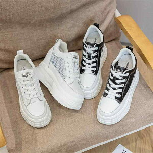 T_ fB[X  Xj[J[\[ ʋC X|[cT_ EhgD   y 8cmq[ gAbv ig