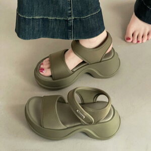 T_ fB[X  ɂ ₷ ʃt@Xi[ X|[eB[ JWA r y ~   