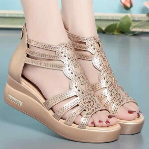 T_ fB[X   [} @PU RtH[g EhgD obNWbv  C ubN S[hn