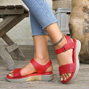 T_ fB[X 傫TCY X|[cT_   r[`T_ X|T AEghA ig sNn