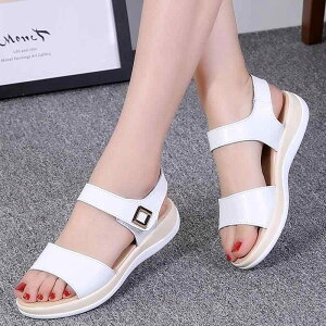 T_ fB[X v tbg ؂ [q[ ₷ ɂȂɂ y r[`T_ JWA s ~ EhgD  zCgn(x2)