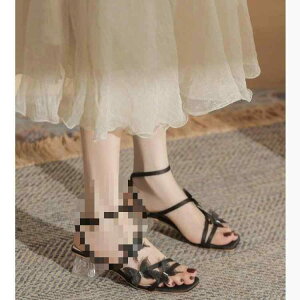 T_ fB[X `L[q[ TXgbv XNGAgD CXg[ tF~j 킢   O[ sNn PUU[ ig p[eB[