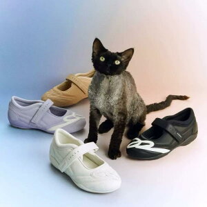 Xj[J[ fB[X  tbg RC U[ JWA    y ؂ [Jbg wlC ig