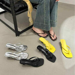 T_ fB[X ׃q[ ~hq[  ₷ r[`T_ gOT_ XNGAgD O ubN CG[ Vo[ qE