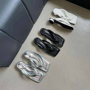 T_ fB[X  gOT_ Vo[ Vo[ r[`T_ @ K ₷ ɂ wlC p t