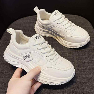 Xj[J[ fB[X ^ U[ JWA  ɂ }bT[W C t   ₷ gAbv ^ X|[c 킢