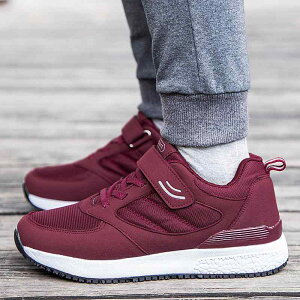 Xj[J[ fB[X Y V[Y nrV[Y ҃V[Y ^C ʃt@Xi[ ₷ ~ ]|h~ ނ H jp F 񂶐F  F