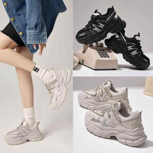 Xj[J[ fB[X C U  v U[ EH[LOV[Y ɂ wlC ₷  ubN O[ 35 36 37 38 39 40