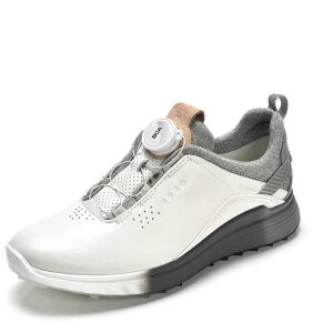 StV[Y fB[X v XpCNX ^C EH[LOV[Y ~  D tbg t(x12)