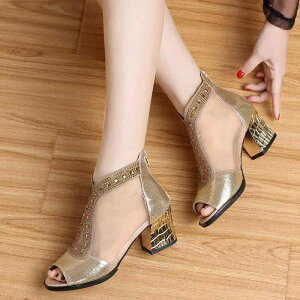 T_ fB[X t  bV ~hq[ q[ CXg[  ɂ JWA ZNV[ wlC  