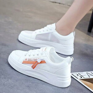 Xj[J[ fB[X ʊwC jOV[Y [Jbg ^C X|[c JWA ₷ ₷   sNn t