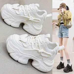 Xj[J[ fB[X  Cq[ U[Xj[J[ v X|[c JWA ^C   tH~ 6cm 7cm 8cm(x2)