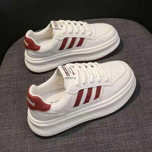 Xj[J[ fB[X  X|[c Xj[J[   [Jbg R _炩 C\[ NbV ₷ ɂ ig s(x2)