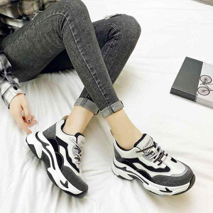 Xj[J[ fB[X  Cq[ _bhXj[J[ JWAV[Y X|[eB[ y ʋC NbV ₷  ubN  O[ H~