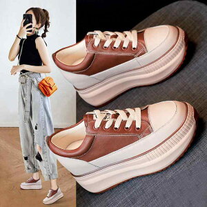 Xj[J[ fB[X  Cq[ y 8cmUP ؍ JWA   Lk ϖՐ tďH~