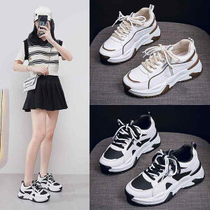 Xj[J[ fB[X  Cq[ ؍ [Jbg  U[ JWA X|[eB ʊw ʋ s r gAbv 3cm 4cm 5cm A28 ubN J[L