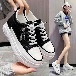 Xj[J[ fB[X  Cq[ Xj[J[ ؍ LoX Xj[J[   [Jbg Xj[J[ JWA ^C X^CAbv r(x2)