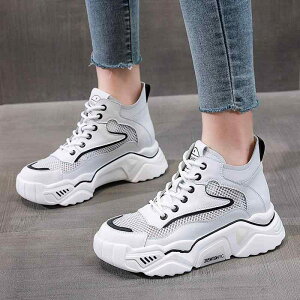 Xj[J[ fB[X  Cq[ bV ^ U[ JWAV[Y nCJbg   ʋC K 