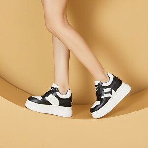 Xj[J[ fB[X  v U[ Cq[ V[Nbgq[  g JWA EhgD R 33 34 35 36 37 38 39 t H~  