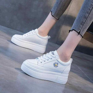 Xj[J[ fB[X  Cq[ bV ʋC X|[c JWA Vo[ Vo[ O[ 